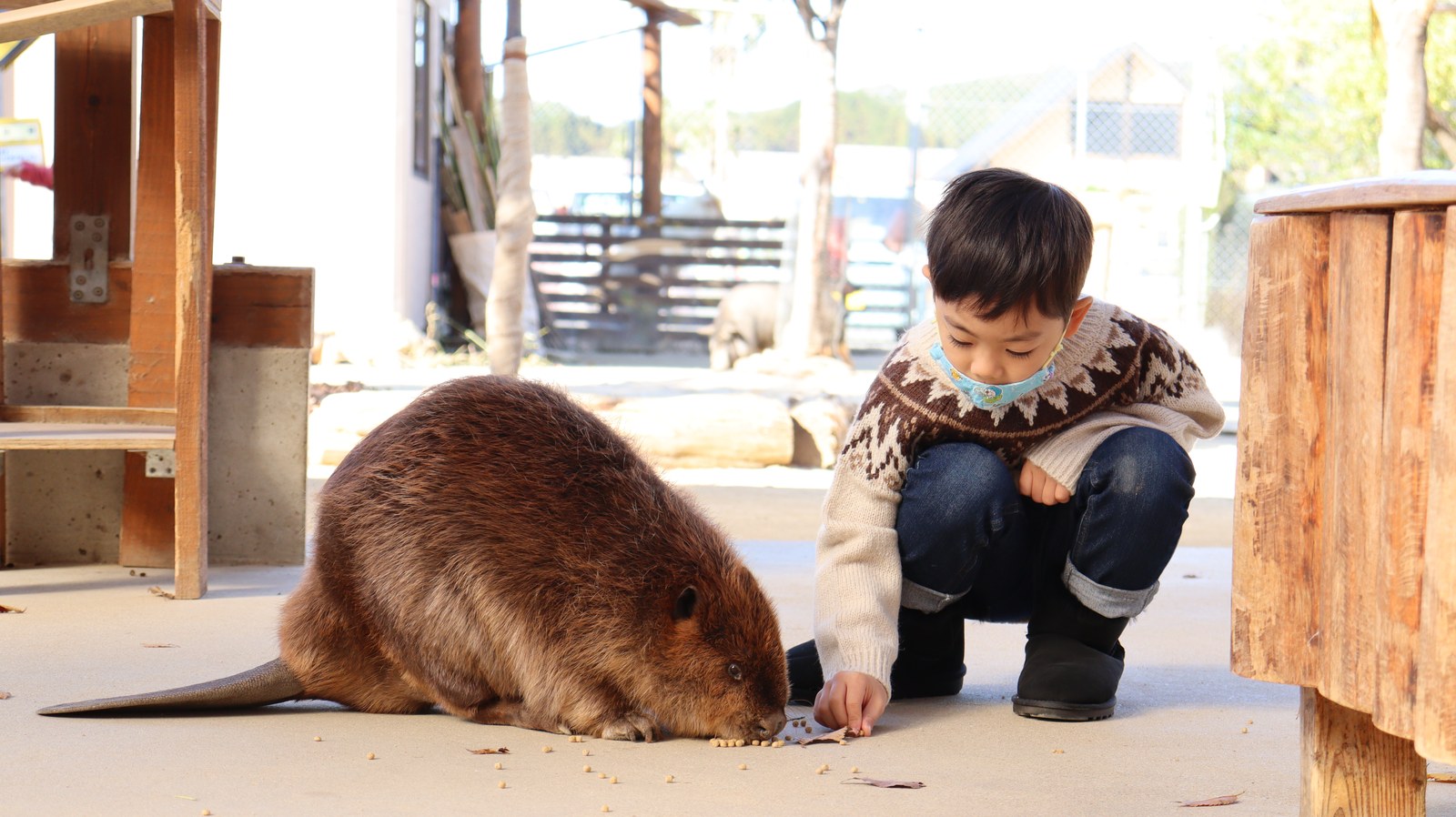 子供とビーバー動物のフリー素材 beaver Free material