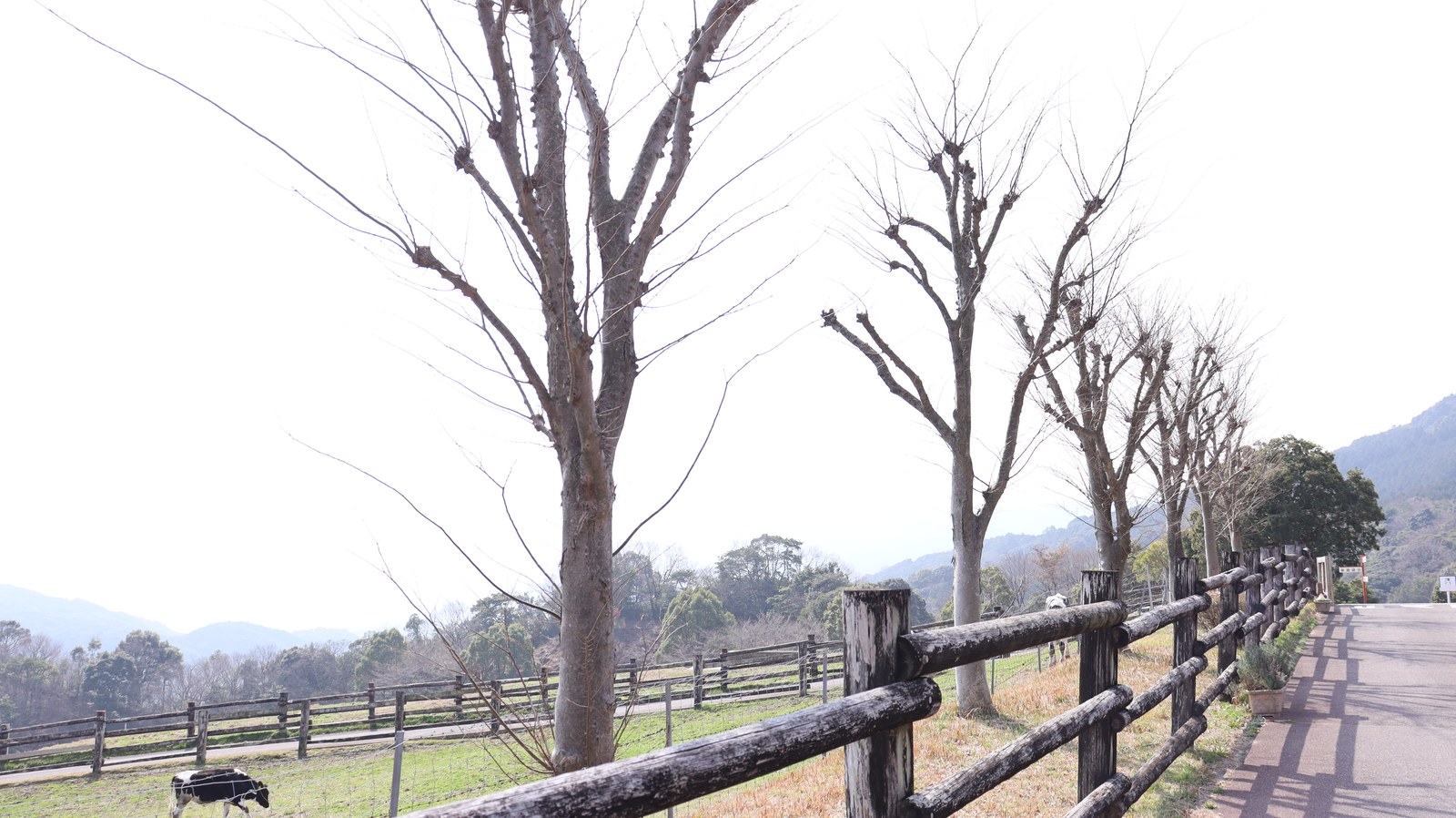 冬の牧場写真フリー素材 Winter Ranch Photo Free Material