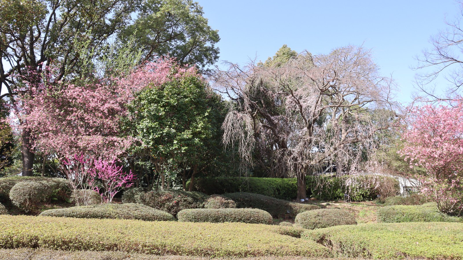 公園、庭園の写真フリー素材 Park, garden photo free material