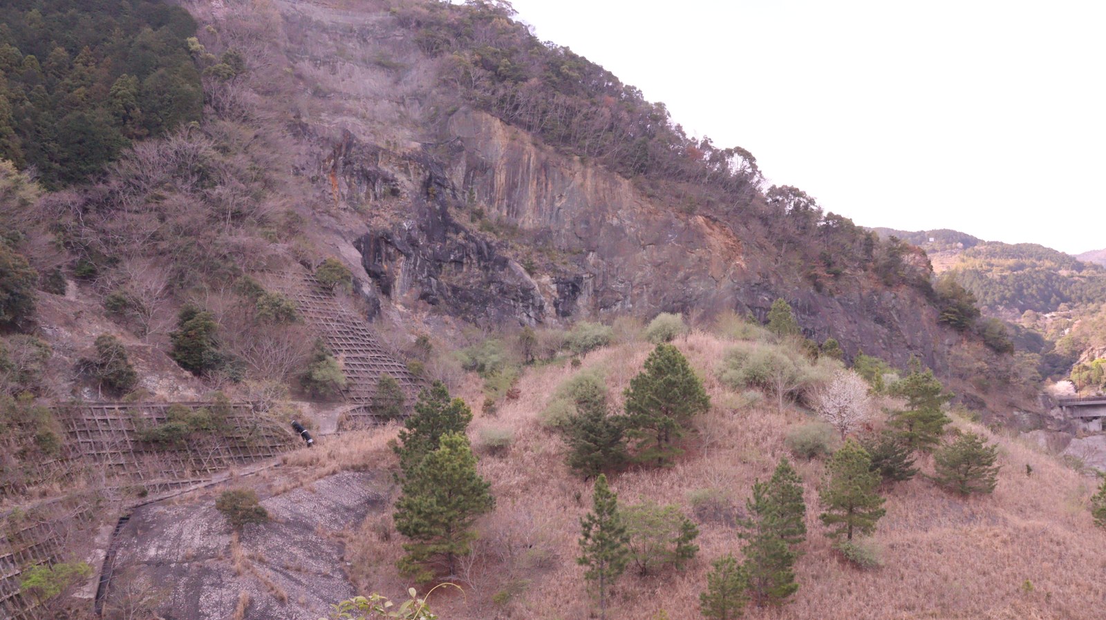 山、枯れ木、冬、はげ山、風景写真フリー素材 Mountains, dead trees, winter, bald mountains, landscape photography free material