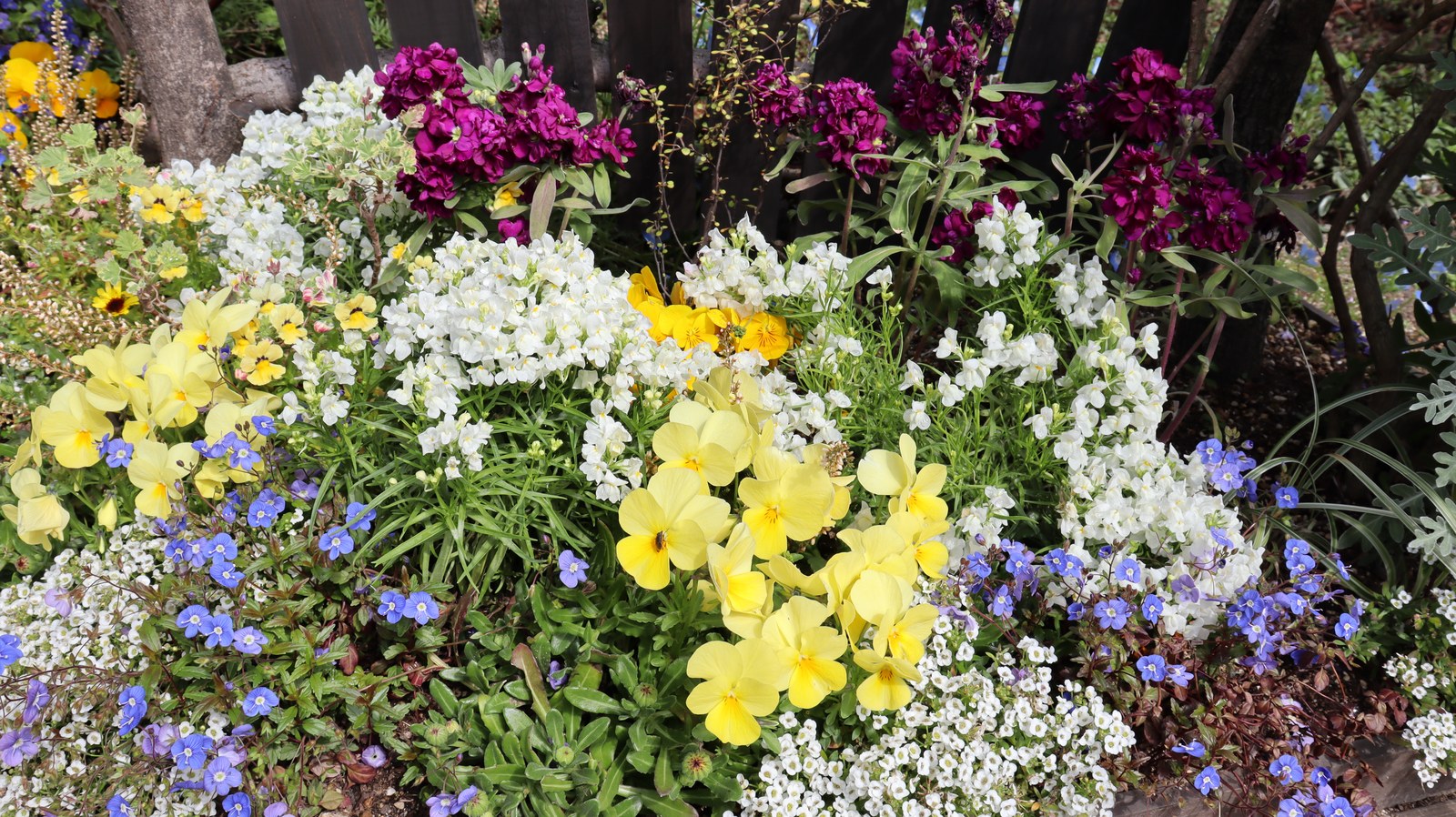 花壇の写真フリー素材 Flowerbed photo free material