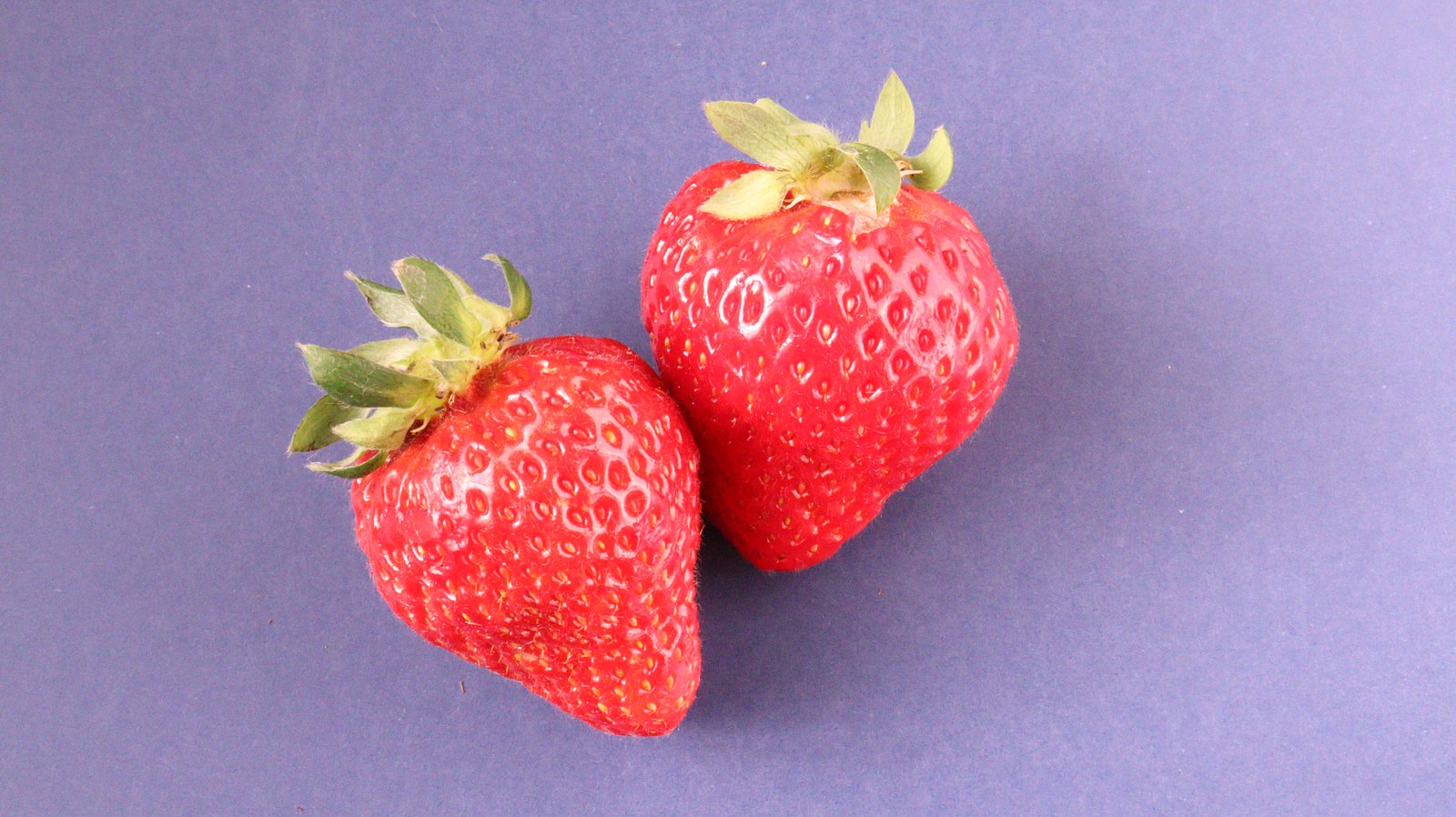 いちご、イチゴ、果物、フルーツ、ダイエット、お菓子、おやつ、料理、食べ物の写真フリー素材 Strawberries, Fruits, Fruits, Diets, Sweets, Snacks, Cooking, Food Photos Free Material