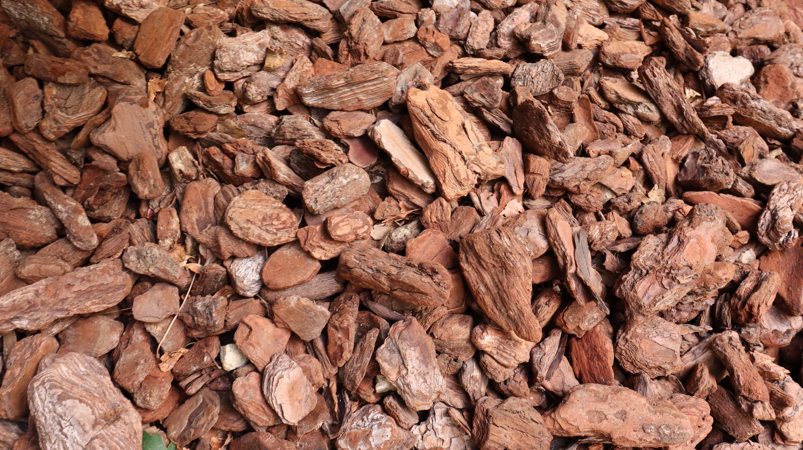 インテリアバークの写真フリー素材 Interior bark photo free material