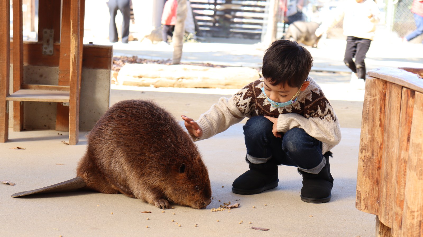 子供とビーバー動物のフリー素材 beaver Free material