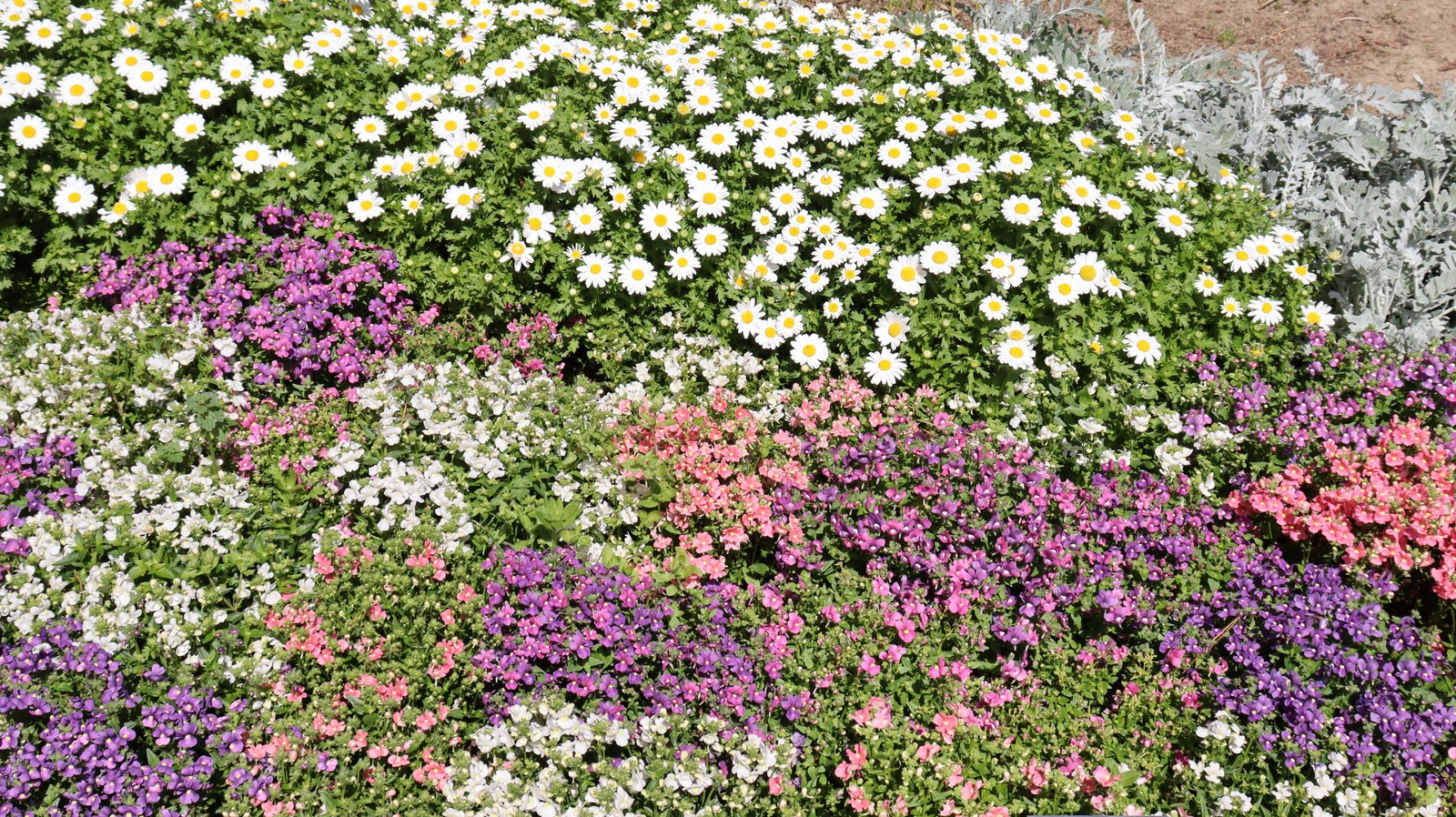 野原の写真フリー素材 Field Photo Free Material