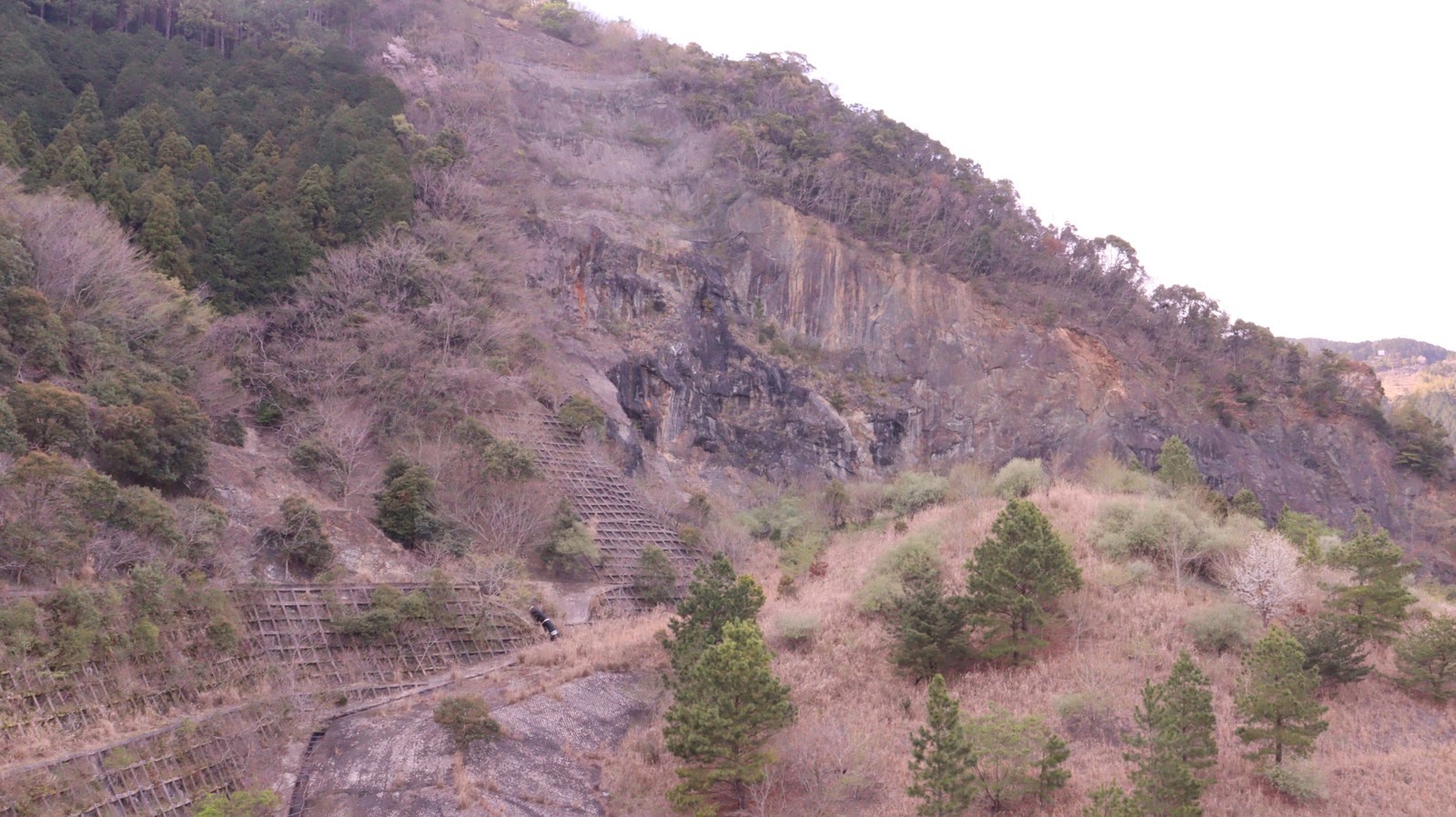 山、枯れ木、冬、はげ山、風景写真フリー素材 Mountains, dead trees, winter, bald mountains, landscape photography free material