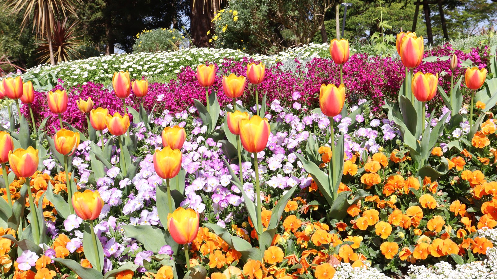 庭園の写真フリー素材 Garden Photo Free Material