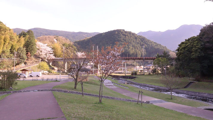 f387.川の横の遊歩道、＋1点【花や風景関連】無料画像