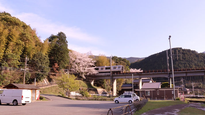 f392.山と桜と電車、＋1点【花や風景関連】無料画像