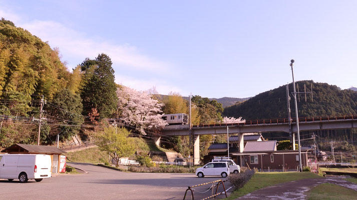 f392.山と桜と電車、＋1点【花や風景関連】無料画像