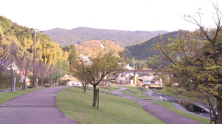 f387.川の横の遊歩道、＋1点【花や風景関連】無料画像