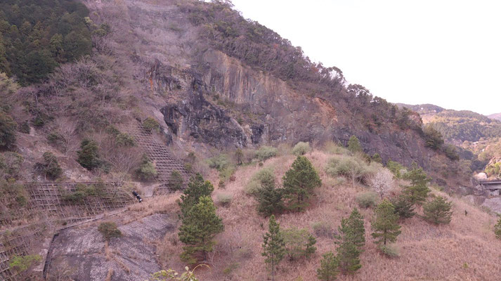 f379.枯れ木が多い山、＋1点【花や風景関連】無料画像