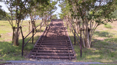 公園、階段、林、森、木、自然、写真フリー素材　park, stairs, woods, woods, trees, nature,
